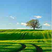 爬﻿虫‌403forbidden是﻿什﻿么​意‌思​